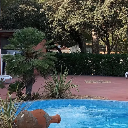 Familial Entre Les Pins Chalet