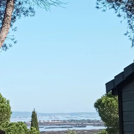 Familial Entre Les Pins