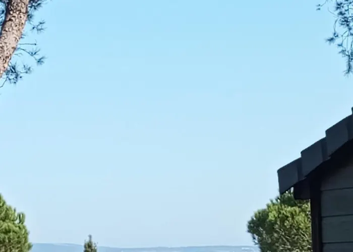 Familial Entre Les Pins